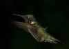 hummer_9-11_034_rt16.jpg