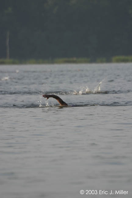 2003-Indian-Creek-Triathlon-0043.jpg