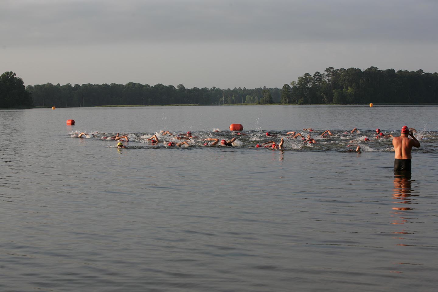 IMG_1726.jpg