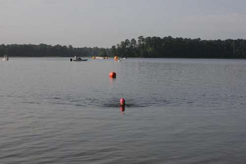 IMG_2130.jpg