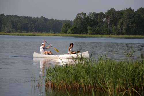 IMG_2135.jpg