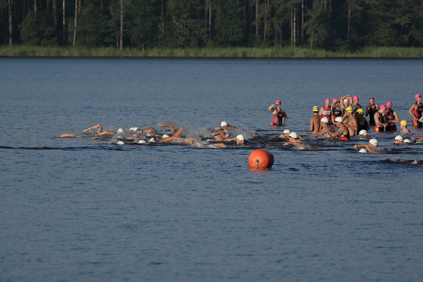 _MG_4681.JPG