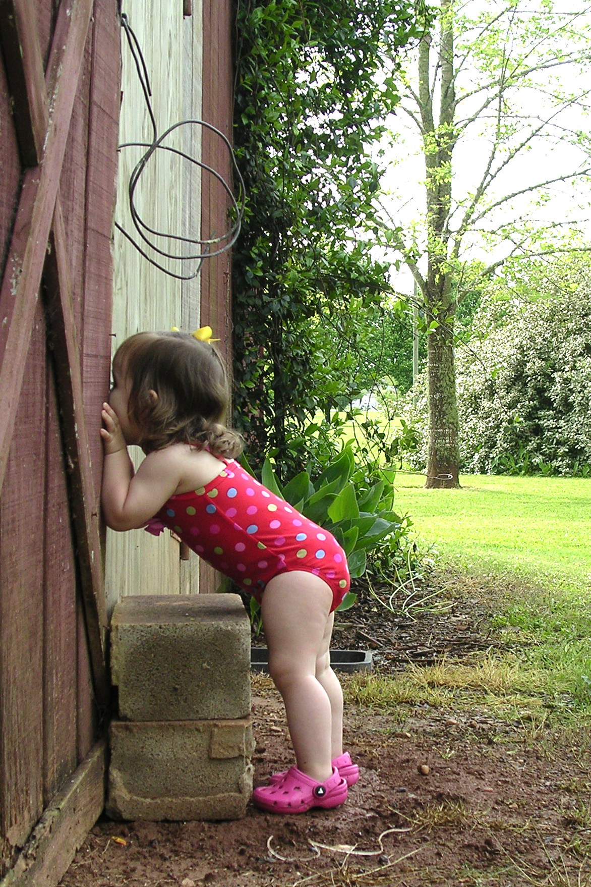 DSCN1726.jpg