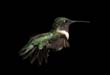 hummers_001